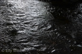 Elly Weiblen Wasser Dietenbach 2022-4.jpg